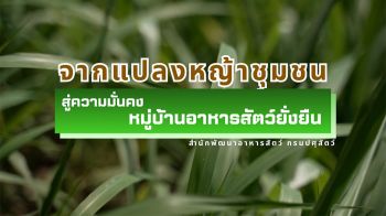 \'สำนักพัฒนาอาหารสัตว์ กรมปศุสัตว์\'ปลดล็อกวิกฤตอาหารสัตว์ เร่งผลักดัน\'หมู่บ้านอาหารสัตว์ยั่งยืน\'ลดต้นทุน-สร้างความยั่งยืน