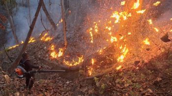 ลอบเผาเพิ่ม ‘แม่ฮ่องสอน’ไฟป่าลาม จุดความร้อนพุ่ง196จุด