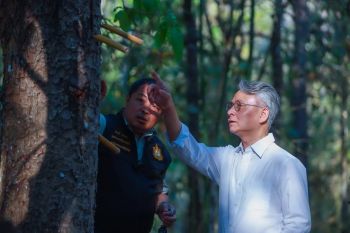 SACIT ปักหมุด \'อมก๋อย\' ฟื้นต้นน้ำยางรัก ปูทางยกระดับวัตถุดิบหายากสู่หลักทรัพย์ค้ำประกันทางธุรกิจ