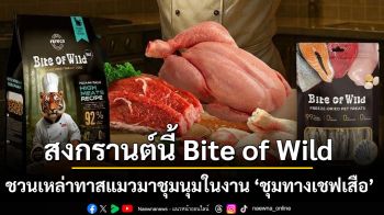 สงกรานต์นี้ Bite of Wild ชวนเหล่าทาสแมวมาชุมนุมในงาน “ชุมทางเชฟเสือ” เปิดประสบการณ์มื้อสุดพิเศษสำหรับเหล่าเสือน้อย