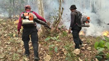 เชียงใหม่อันดับ1 มลพิษสูงสุดโลก แม่ฮ่องสอนจมฝุ่น จุดความร้อนพุ่ง