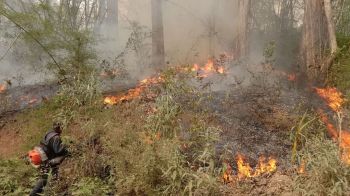 ทั่วไทยอ่วมฝุ่น 42จว.พุ่งเกินค่า ‘เชียงใหม่’รั้งที่1 มลพิษแย่สุดโลก