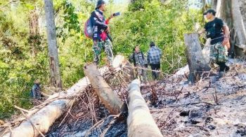 วอด1.7พันไร่ ไฟป่าลามแก่งกระจาน ‘สุชาติ’จี้หามือลอบเผา