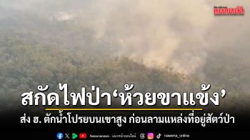 ไฟป่าห้วยขาแข้งหนัก ส่ง ฮ. ตักน้ำโปรยสกัดบนเขาสูง ก่อนลามแหล่งที่อยู่สัตว์ป่า