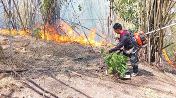 ไฟป่าลามหนัก ห้วยขาแข้ง-ภูหลวง ‘ปาย’นทท.หาย90%