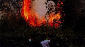 Science Update : อินโดนีเซียเตรียมพร้อมรับมือเอลนีโญ