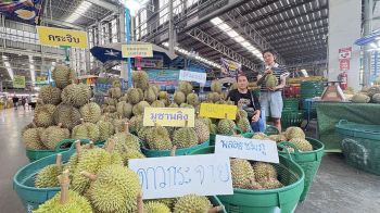 สี่มุมเมืองผงาด! ปั้น \'ทุเรียน EXPO 2026’ คาดทุเรียนหมุนเวียนพุ่ง 3.8 หมื่นตันต่อปี