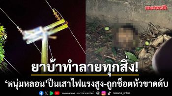 ยาบ้าทำลายทุกอย่าง! หนุ่มหลอนปีนเสาไฟฟ้าแรงสูง ถูกช็อตหัวขาดดับสยอง