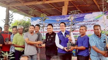 เลยลุยดัน! ‘มะคาเดเมีย’ ขึ้นแท่นพืช ศก.เบอร์ 1 ชู ‘ไม้ยืนต้นไม่ผลัดใบ’