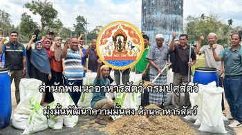 พลังแห่งความสามัคคี! \'สำนักพัฒนาอาหารสัตว์\'ทั่วประเทศ รวมใจเคารพธงชาติ ปลุกวินัย-พร้อมลุยภารกิจเพื่อเกษตรกร