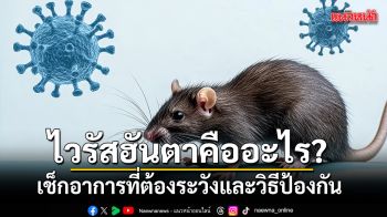ไวรัสฮันตาคืออะไร? เช็กอาการที่ต้องระวังและวิธีป้องกัน