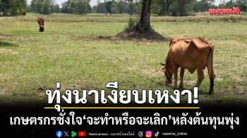 ทุ่งนาเงียบเหงา! เกษตรกรชั่งใจ \'จะทำหรือจะเลิก\' หลังปุ๋ย-ค่าเช่านาพุ่งพรวด