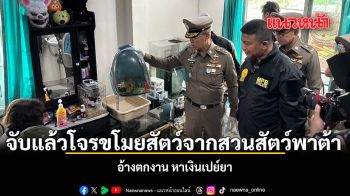 จับแล้วโจรขโมยสัตว์จากสวนสัตว์พาต้า อ้างตกงาน หาเงินเปย์ยา