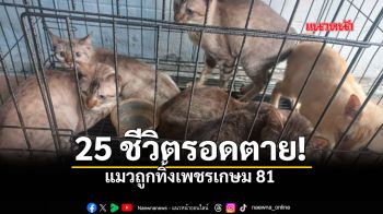 TSPCA จับมือมหิดล อุ้มแมวถูกทิ้งเพชรเกษม 81 พร้อมชูโมเดลช่วยสัตว์ไร้เจ้าของยั่งยืน