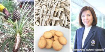 สกู๊ปพิเศษ : Low GI Foods for Better GI Products ยกระดับสุขภาพ-พืชเศรษฐกิจไทย