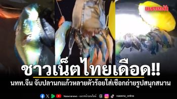 ชาวเน็ตไทยเดือด!! นทท.จีน จับปลานกแก้วหลายตัวร้อยใส่เชือกถ่ายรูปสนุกสนาน จี้จนท.จัดการ (มีคลิป)