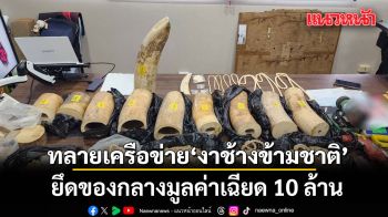 บุก 7 จังหวัด ทลายเครือข่าย งาช้างข้ามชาติ ยึดของกลางมูลค่าเฉียด 10 ล้าน