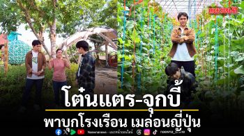 โต๋นแตร จุกบี้ พาบุกโรงเรือน เมล่อนญี่ปุ่น ชมทุกขั้นตอนการปลูกพรีเมียมที่อยุธยา