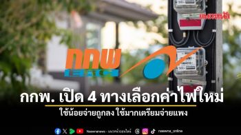 กกพ. เปิด 4 ทางเลือกค่าไฟใหม่ ใช้น้อยจ่ายถูกลง ใช้มากเตรียมจ่ายแพง