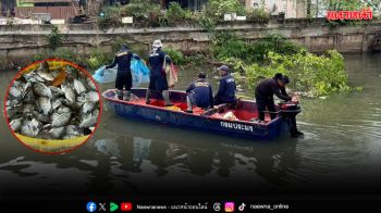 ‘ลงแขกลงคลอง’ ลดปลาหมอคางดำ ดึงชุมชนร่วมจับ-ใช้ประโยชน์-เฝ้าระวังต่อเนื่อง
