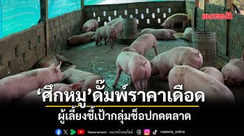 ‘ศึกหมู’ดั๊มพ์ราคาเดือด  ผู้เลี้ยงชี้เป้ากลุ่มช็อปกดตลาด