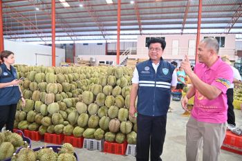 พาณิชย์” ลุยใต้แก้วิกฤตรถทุเรียนติดคิว ดึงล้งใหญ่จันทบุรีเปิดรับซื้อเพิ่ม เร่งระบายผลผลิตชุมพร