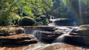 อุทยานฯภูลังกา เตรียมเปิดให้นักท่องเที่ยวสัมผัสความงดงาม \'น้ำตกกินรี - หินโลมา\' อีกครั้ง
