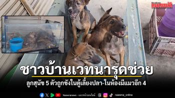 ชาวบ้านเวทนา รุดช่วยสุนัข 5 ตัวถูกขังในตู้เลี้ยงปลา ในห้องเช่ามีแมวอีก 4