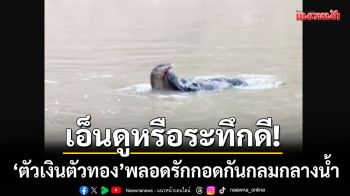 เอ็นดูหรือระทึกดี! ‘ตัวเงินตัวทอง’ พลอดรักกอดกันกลมกลางน้ำที่วิเศษชัยชาญ
