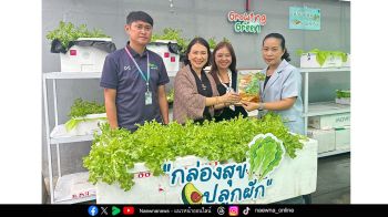 พาราไดซ์ พาร์ค โชว์ความสำเร็จ “กล่องสุข ปลูกผัก”  พร้อมส่งต่อผลผลิตสู่พนักงานและร้านค้า