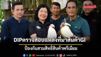 DIPตรวจสอบแหล่งที่มาสินค้าGI’ทุเรียนนนท์’ ป้องกันสวมสิทธิ์สินค้าพรีเมียม