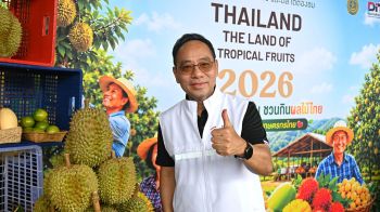 พณ.รับมือผลไม้ออกสู่ตลาด ดึง‘ตลาด-ห้าง’ช่วยดูดซับผลผลิต