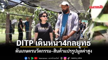 DITP เดินหน้า4กลยุทธ์ ดันเกษตรนวัตกรรม–สินค้าแปรรูปมูลค่าสูง