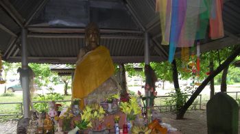รายงานพิเศษ : เปิดตำนาน “ป่าศักดิ์สิทธิ์” มอดไม้ผวา  สัมผัส เสมาหินพันปี ที่ จ.อำนาจเจริญ