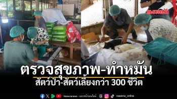 TSPCA จับมือ มหิดล ลุยตรวจสุขภาพ-ทำหมัน สัตว์ป่า-สัตว์เลี้ยงกว่า 300 ชีวิต