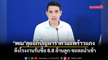 ‘พณ’ลุยแก้ปัญหาราคามะพร้าวแกง ดึงโรงงานรับซื้อ 8.8 ล้านลูก-ชะลอนำเข้า