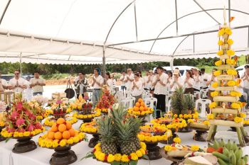 เปิดป่าเบิกฤกษ์ \'Tomorrowland Thailand\' ปักหมุดไทยสู่ศูนย์กลางเทศกาลดนตรีระดับโลก