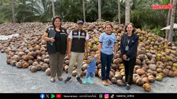 ‘พาณิชย์จังหวัด’ 4 แหล่งปลูกมะพร้าวแกง เร่งประสานโรงงาน ล้ง เข้ารับซื้อมะพร้าว