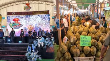 ศรีสะเกษเปิดงาน! ‘เทศกาลทุเรียนภูเขาไฟปี 69’ คาดผลผลิตทะลักกว่า 2 หมื่นตัน