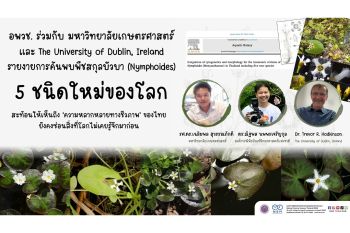 นักวิจัย NSM ร่วมค้นพบ \'บัวบา\' 5 ชนิดใหม่ของโลก ตอกย้ำความอุดมสมบูรณ์ของความหลากหลายทางชีวภาพในพื้นที่ชุ่มน้ำของไทย