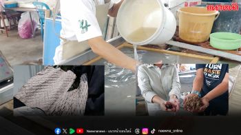 Mommy Booster จับมือ Papa Paper เปลี่ยน กากหัวปลี เป็นกันกระแทกรักษ์โลก