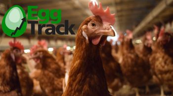 EGGTRACK 2025 : การเปลี่ยนผ่านการเลี้ยงไก่ไข่สู่ระบบปลอดกรงในประเทศไทยเดินหน้าอย่างต่อเนื่อง