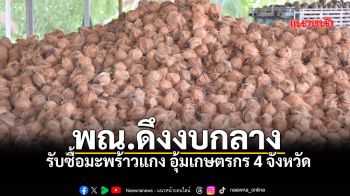 พณ.ดึงงบกลางรับซื้อมะพร้าวแกง อุ้มเกษตรกร 4 จังหวัด