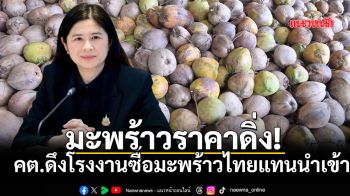 มะพร้าวราคาดิ่ง คต.ดึงโรงงานซื้อมะพร้าวไทยแทนนำเข้า
