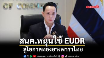 สนค.หนุนใช้ EUDR สู่โอกาสทองยางพาราไทย