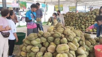 เจ๊ดาผลไม้ซิ่งสร้างปรากฏการณ์ บุกตลาดพะเยาลูกค้าแห่อุดหนุน