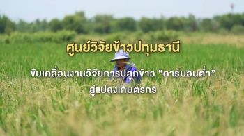 ​พลิกโฉมชาวนาไทย! ศูนย์วิจัยข้าวปทุมธานี เดินหน้าขับเคลื่อน \'ข้าวคาร์บอนต่ำ\' จากห้องแล็บสู่ผืนนาจริง ตอบโจทย์โลกอนาคต