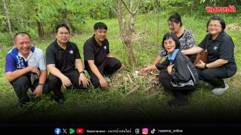 วว.ขยายผลสำเร็จเทคโนโลยี เพาะ ‘เห็ดตีนแรดต้นทุนต่ำ’ ไม่ใช้โรงเรือน ยกระดับรายได้เกษตรกร 5 จว.ภาคเหนือ