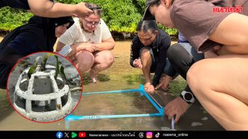 มวล. -  ม.เมอร์ด็อค พัฒนานวัตกรรม ‘พ็อดปลูกหญ้าทะเล’ ย่อยสลายได้ 100%