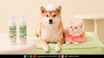 PIPPER STANDARD® เปิดตัวแชมพูอาบน้ำ และ โฟมอาบแห้งสัตว์เลี้ยง ชูนวัตกรรมพลังธรรมชาติ \